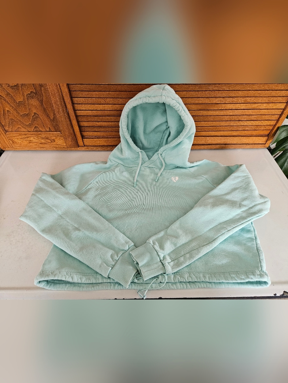 Women's Best Mint Cropped Drawstring Hoodie